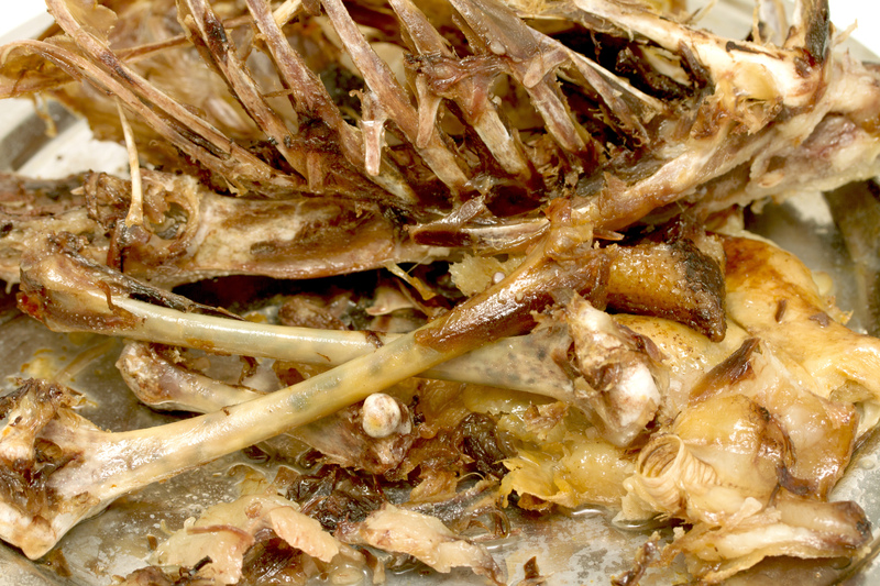 waste disposal waste collection